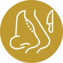 Rinoplastia en Guadalajara